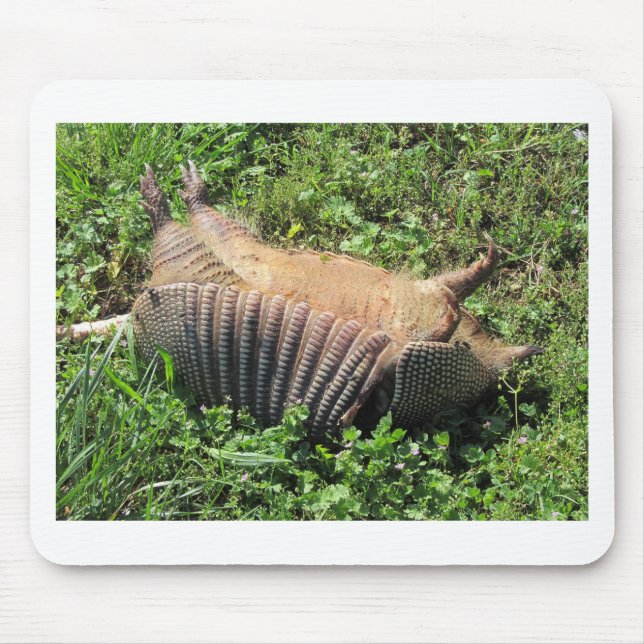Armadillo Road Kill - Dasypodidae Mouse Pad (Front)