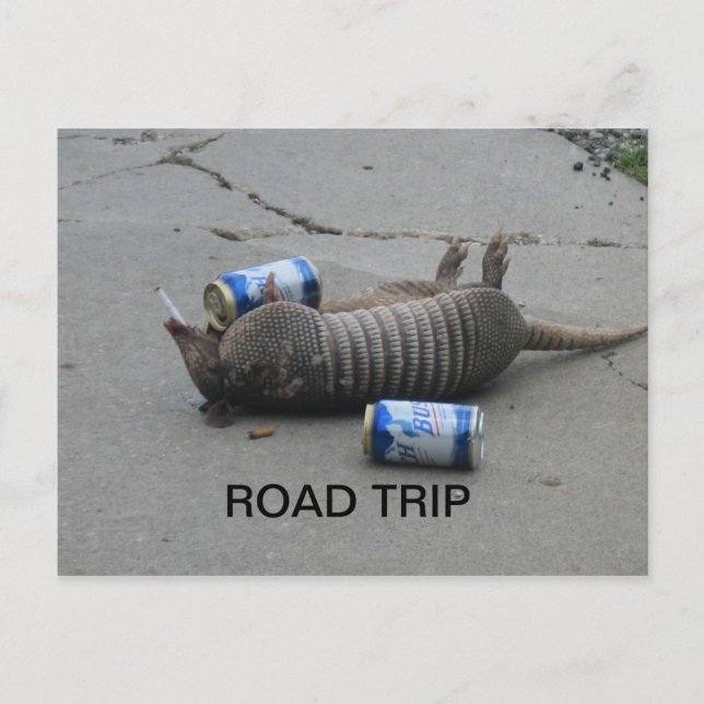 Armadillo Road Trip Postcard (Front)