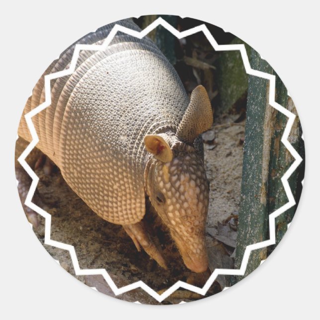 Armadillo Stickers (Front)