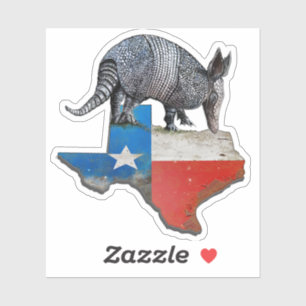 Armadillo Texas State Flag Map