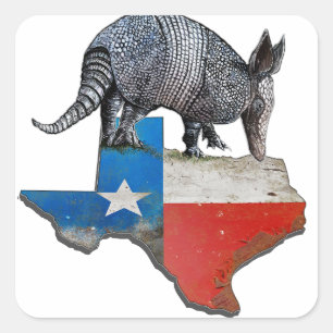 Armadillo Texas State Flag Map Square Sticker