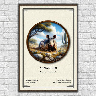 Armadillo Zoology Series Poster