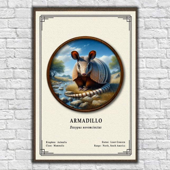 Armadillo Zoology Series Poster (Creator Uploaded)