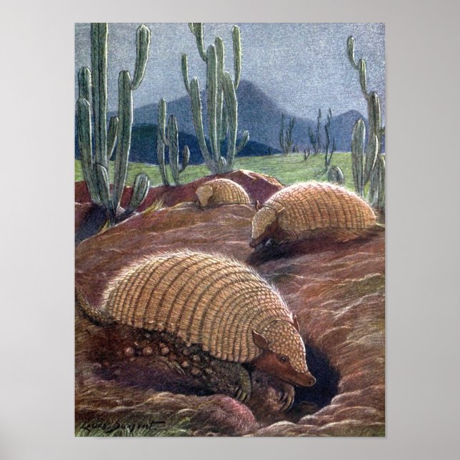 Armadillos by Louis Sargent, Vintage Wild Animals Poster (Front)