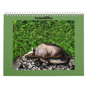 Armadillos Calendar