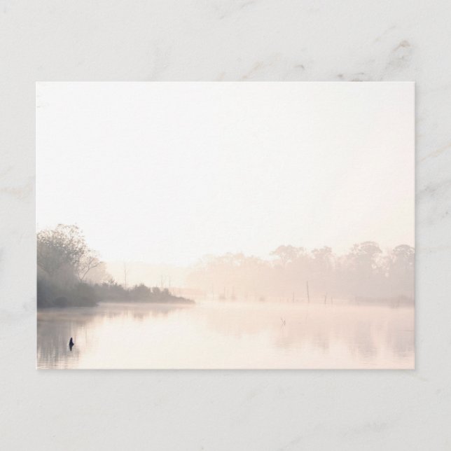 Armand Bayou fog Postcard (Front)