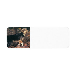 Armant full.png return address label