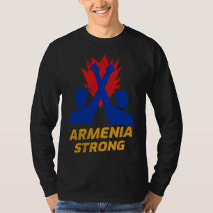 Armenia strong vintage Defend Armenian community T-Shirt