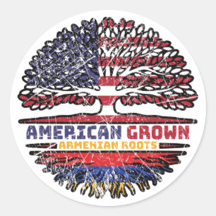 Armenian Armenia US American USA United States Classic Round Sticker