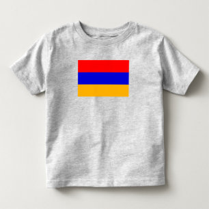Armenian Flag Toddler T-Shirt