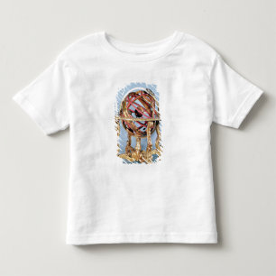 Armillary sphere toddler T-Shirt
