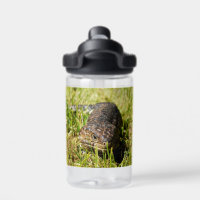 Armored Ambler: The Shingleback's Secret Stroll,