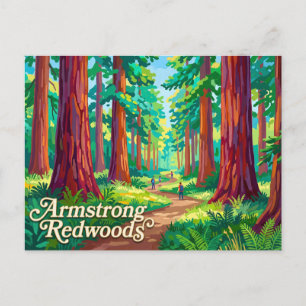 Armstrong Redwoods State Natural Reserve Postcard