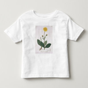 Arnica Montana from 'Phytographie Medicale' by Jos Toddler T-Shirt