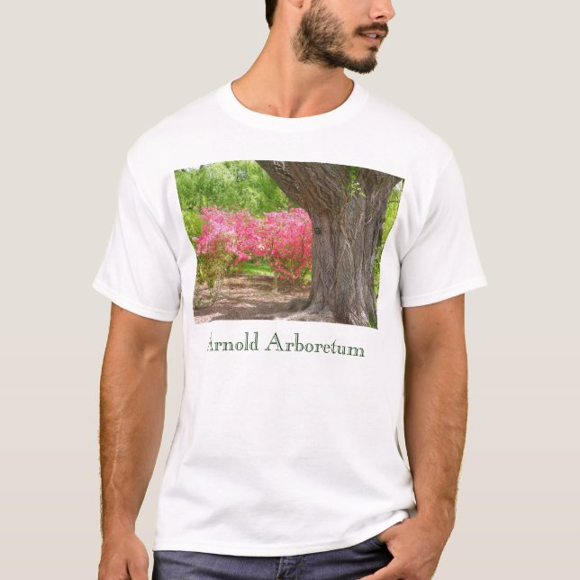Arnold Arboretum in Spring T-Shirt (Front)
