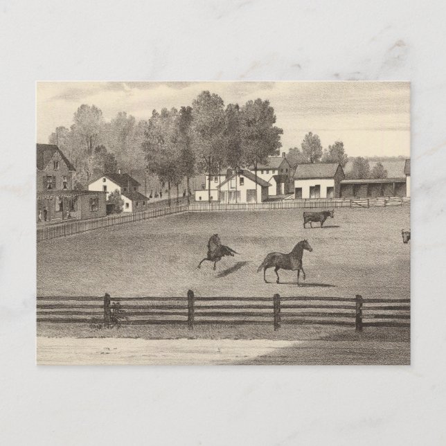 Arnold House, Point Pleasant, NJ Postcard (Front)