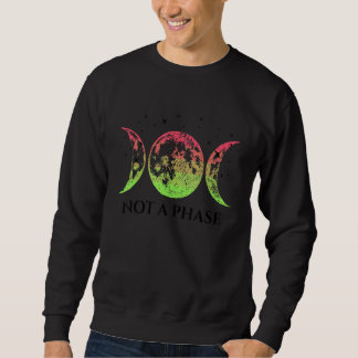 Aroflux Pride Flag Not A Phase Aroflux Flag Sweatshirt