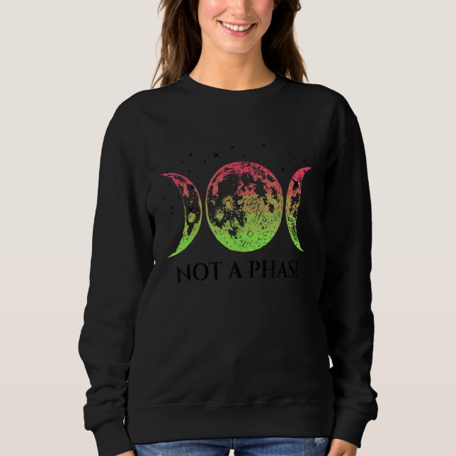 Aroflux Pride Flag Not A Phase Aroflux Flag Sweatshirt (Front)