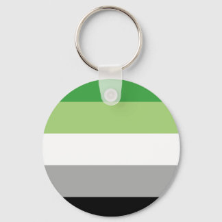 Aromantic Flag Button Keychain