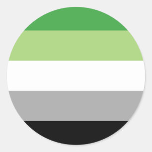 aromantic flag classic round sticker