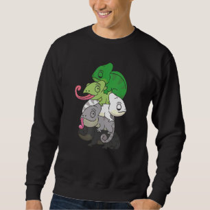 Aromantic Flag Gender Pride Lgbtq Chameleon Sweatshirt