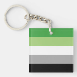 Aromantic Flag Key Ring