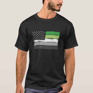 Aromantic Flag Pride Lgbtq Usa Pride Flag T-Shirt