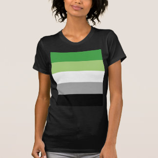 aromantic flag T-Shirt