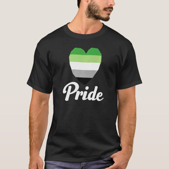 Aromantic Gay Pride Rainbow Word  2 T-Shirt (Front)