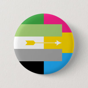 Aromantic Pansexual Pin