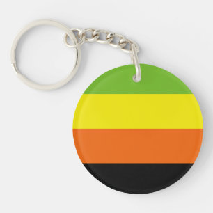 Aromantic Pride Flag Key Ring
