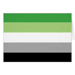 Aromantic Pride Flag LGBTQ