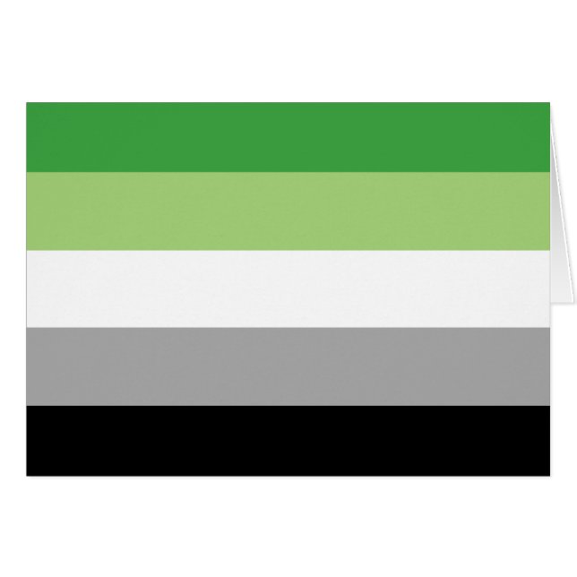 Aromantic Pride Flag LGBTQ (Front Horizontal)