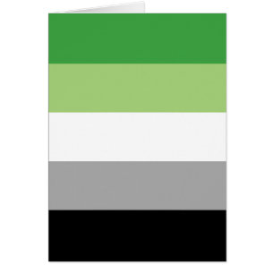 Aromantic Pride Flag LGBTQ