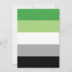Aromantic Pride Flag LGBTQ