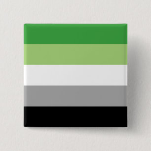 Aromantic Pride Flag LGBTQ 15 Cm Square Badge