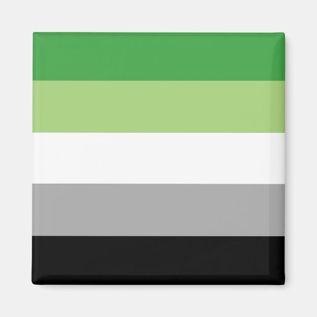 Aromantic Pride Flag  Magnet (Front)