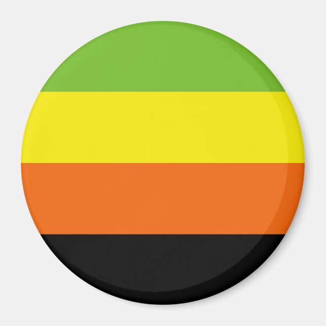 Aromantic Pride Flag Magnet (Front)