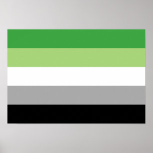 Aromantic Pride flag Poster