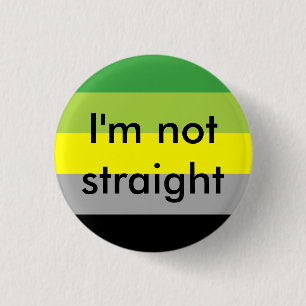 aromantic pride I'm not straight pin