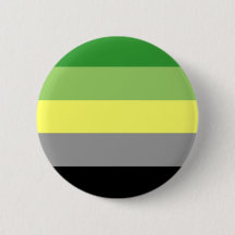 aromantic pride pin