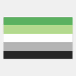 Aromantic Pride Rectangle Sticker