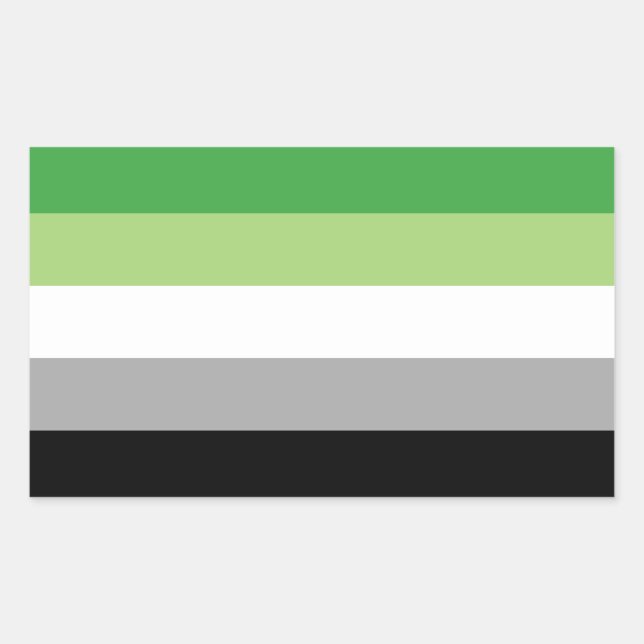 Aromantic Pride Rectangle Sticker (Front)