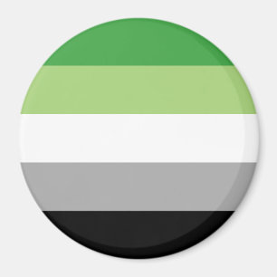 Aromantic Pride Stripes Magnet