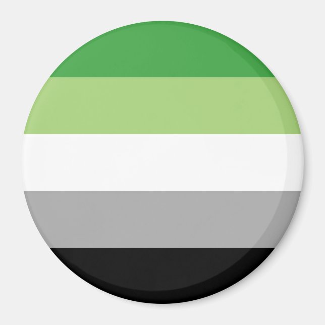 Aromantic Pride Stripes Magnet (Front)