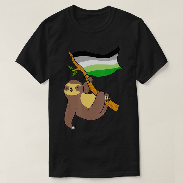 Aromantic Sloth Aromantic Pride  T-Shirt (Design Front)