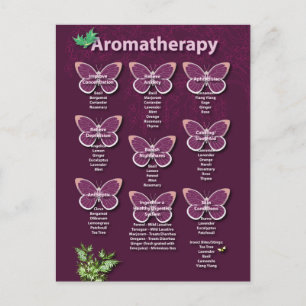 Aromatherapy Chart in Burgundy Postcard