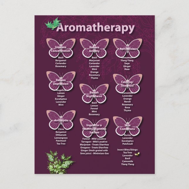 Aromatherapy Chart in Burgundy Postcard (Front)