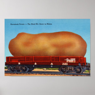 Aroostook Potato Vintage Postcard Print