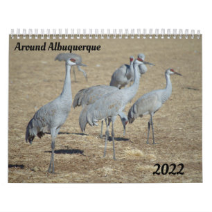 Around Albuquerque Calendar